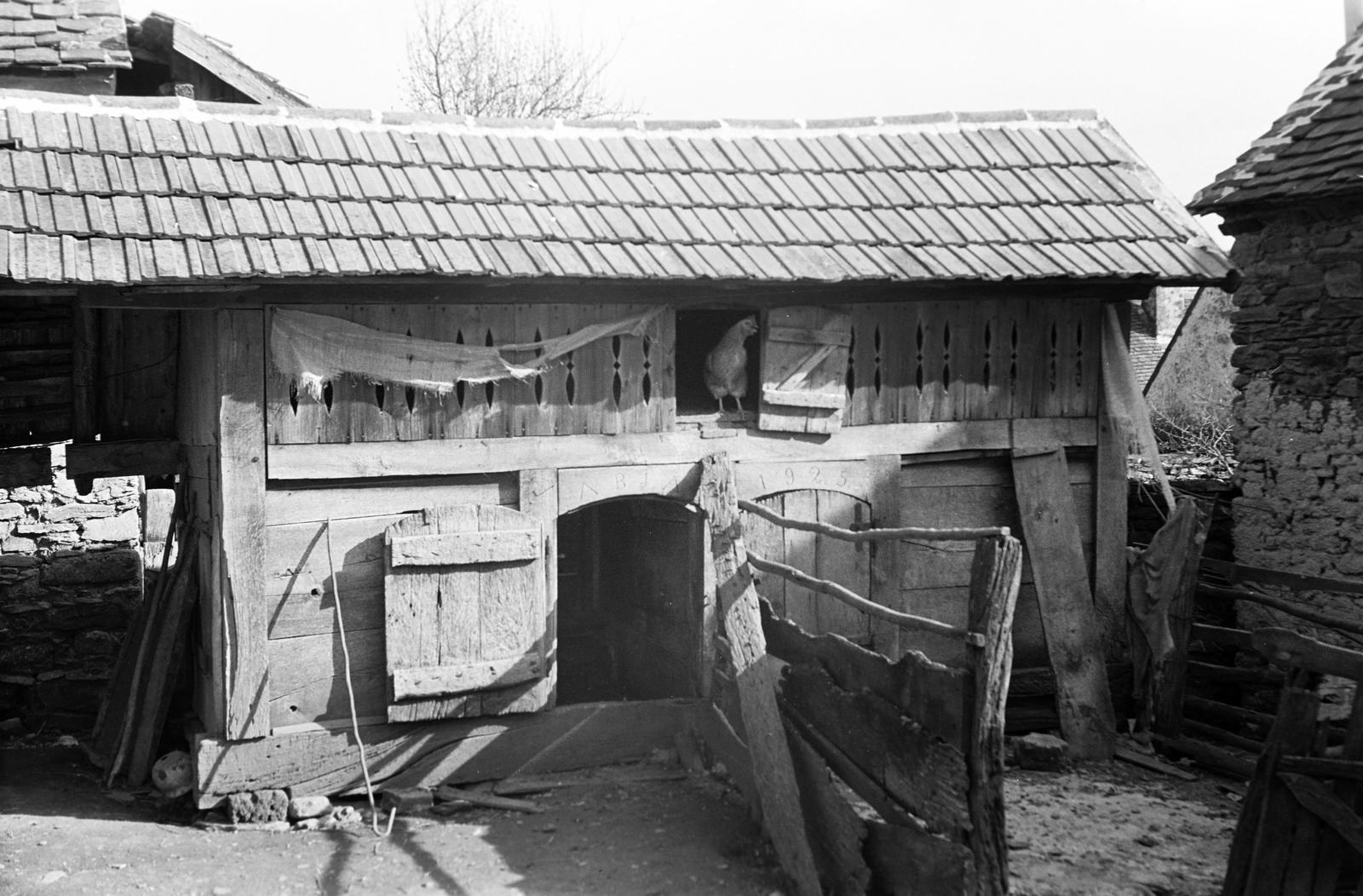 Hungary, 1965, Gazda Anikó, Fortepan #307958