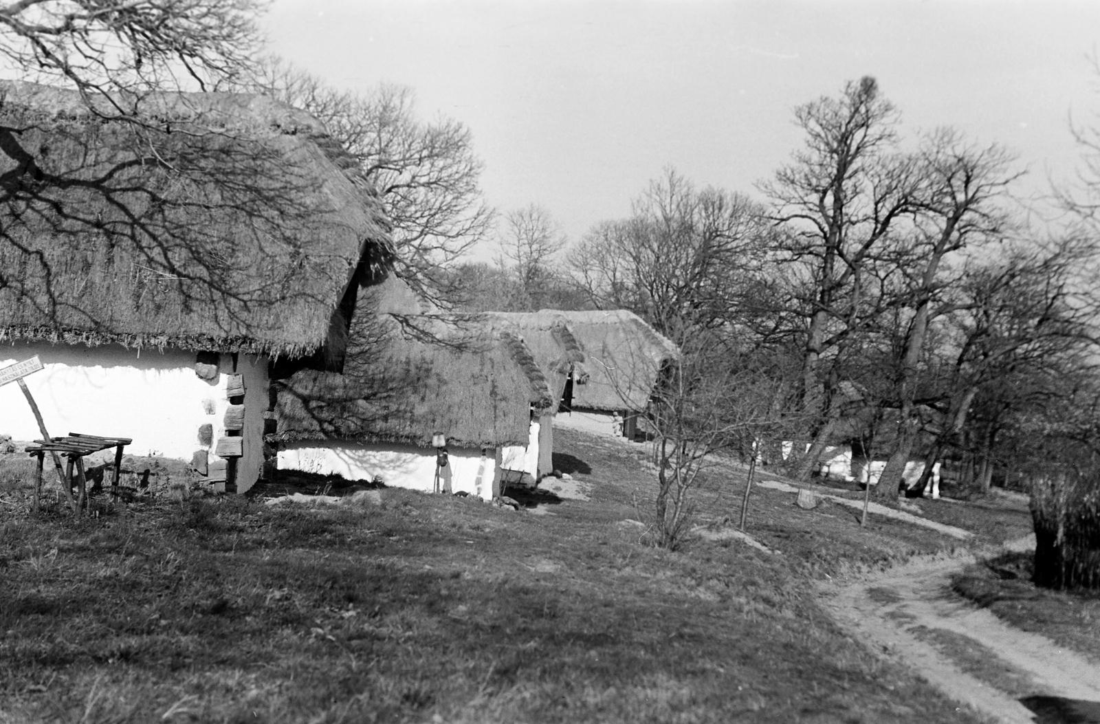 Magyarország, 1965, Gazda Anikó, Fortepan #307959