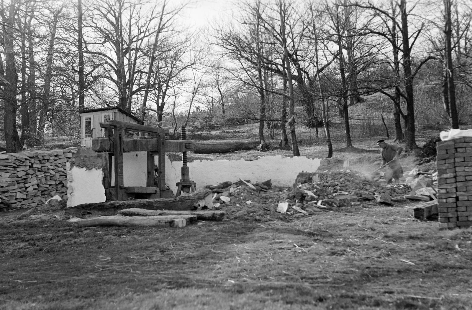 Hungary, 1965, Gazda Anikó, Fortepan #307960