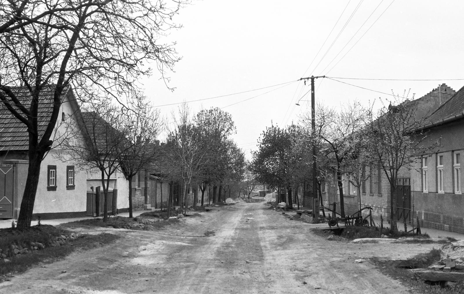 Hungary, 1965, Gazda Anikó, Fortepan #307963