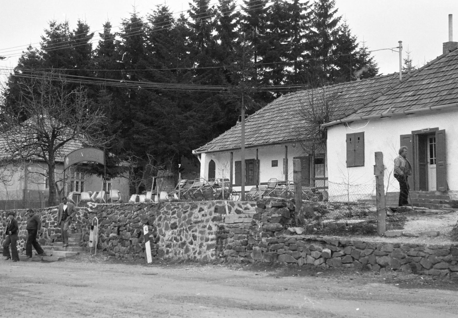 Magyarország, 1976, Gazda Anikó, Fortepan #307964