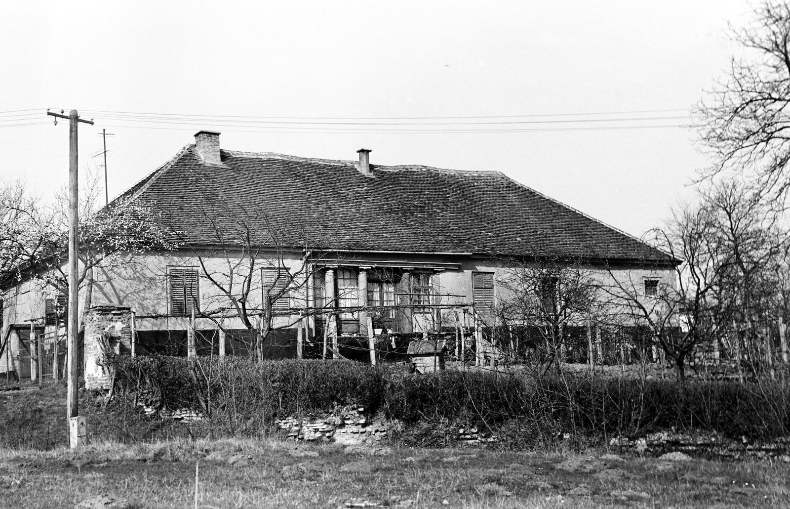 Magyarország, 1973, Gazda Anikó, lakóház, zsalugáter, oszlop, cseréptető, Fortepan #307971