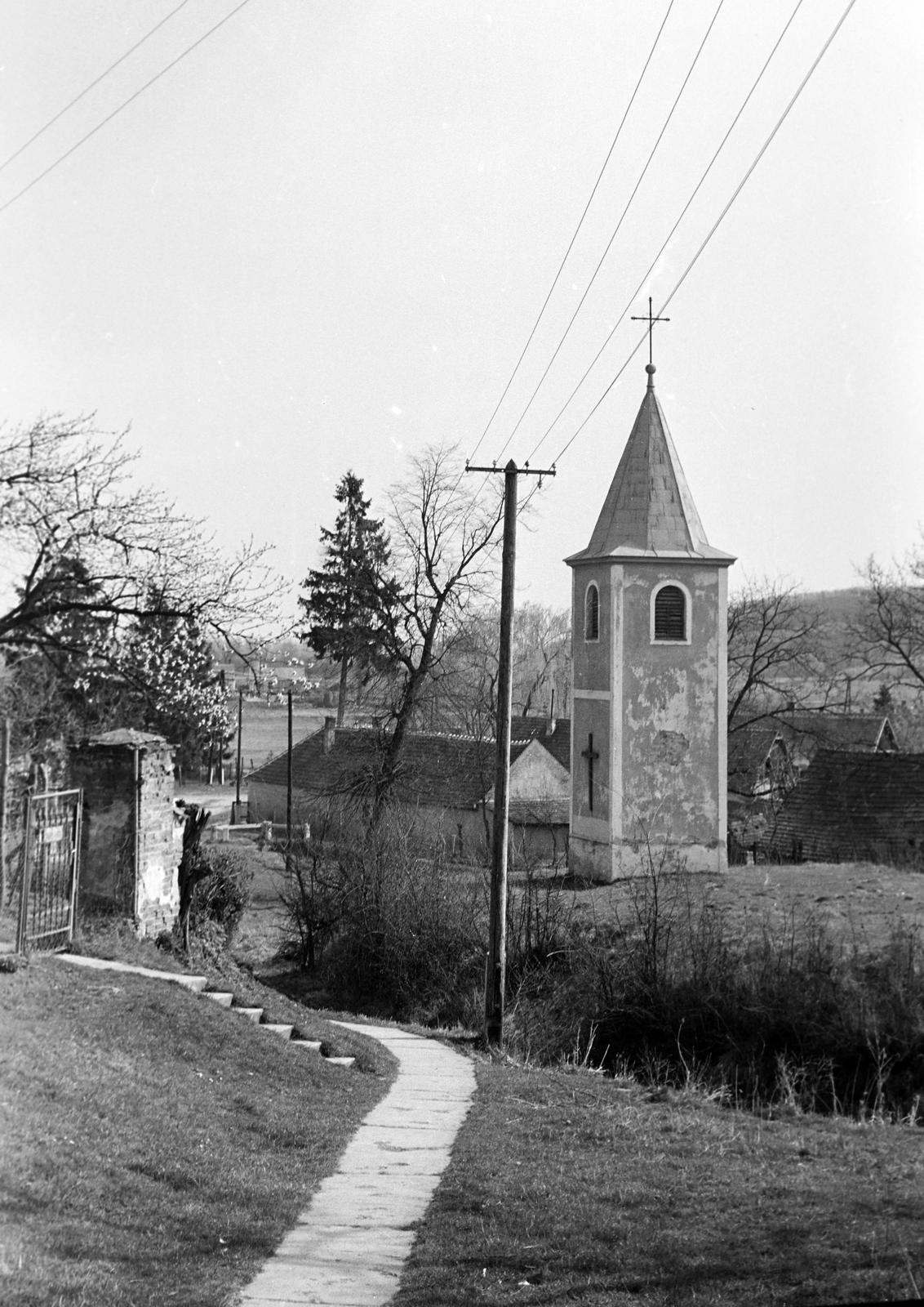 Hungary, 1973, Gazda Anikó, Fortepan #307972