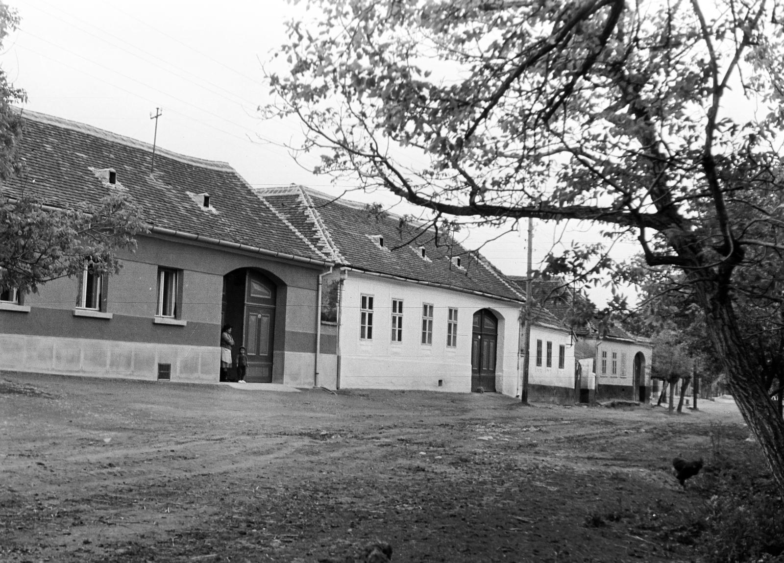 Magyarország, 1973, Gazda Anikó, Fortepan #307973