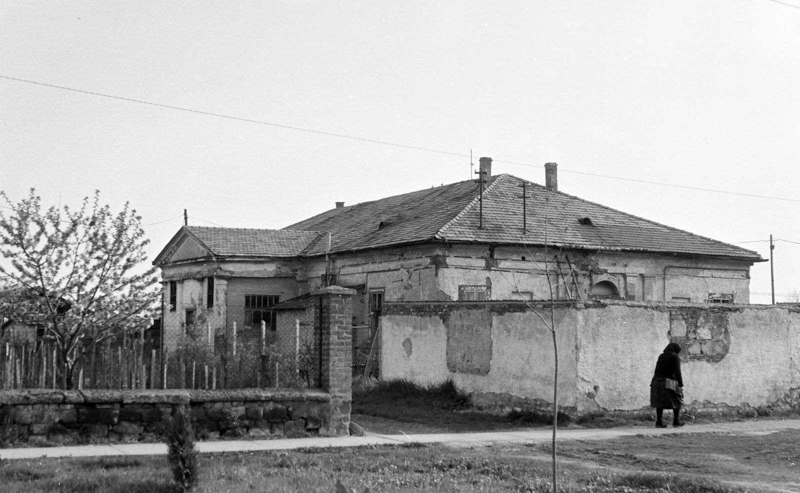 Magyarország, 1966, Gazda Anikó, Fortepan #307976