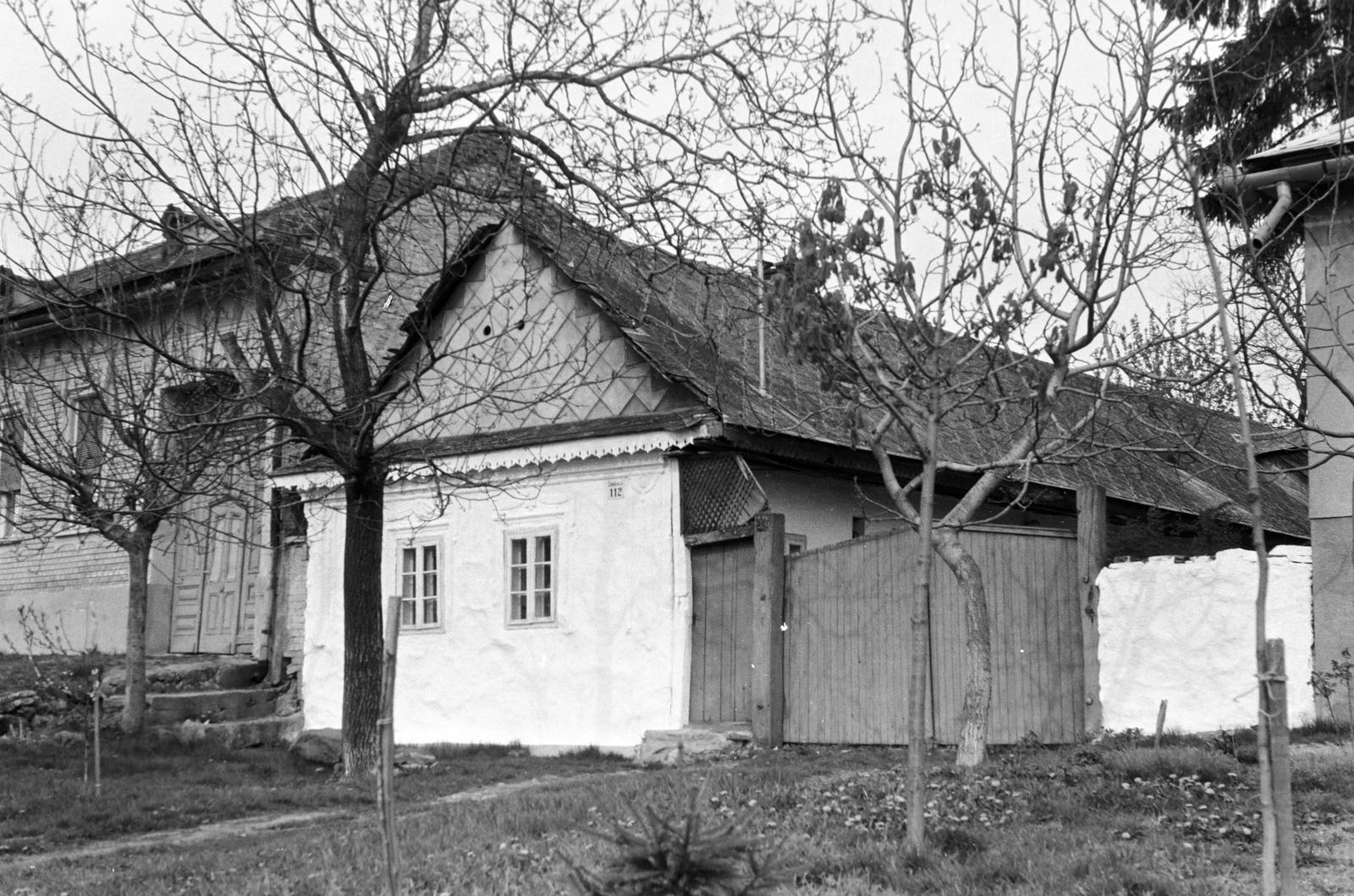 Magyarország, 1966, Gazda Anikó, lakóház, kapu, Fortepan #307978