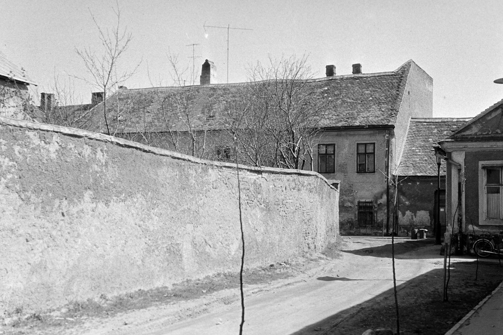 Magyarország, 1971, Gazda Anikó, Fortepan #307989