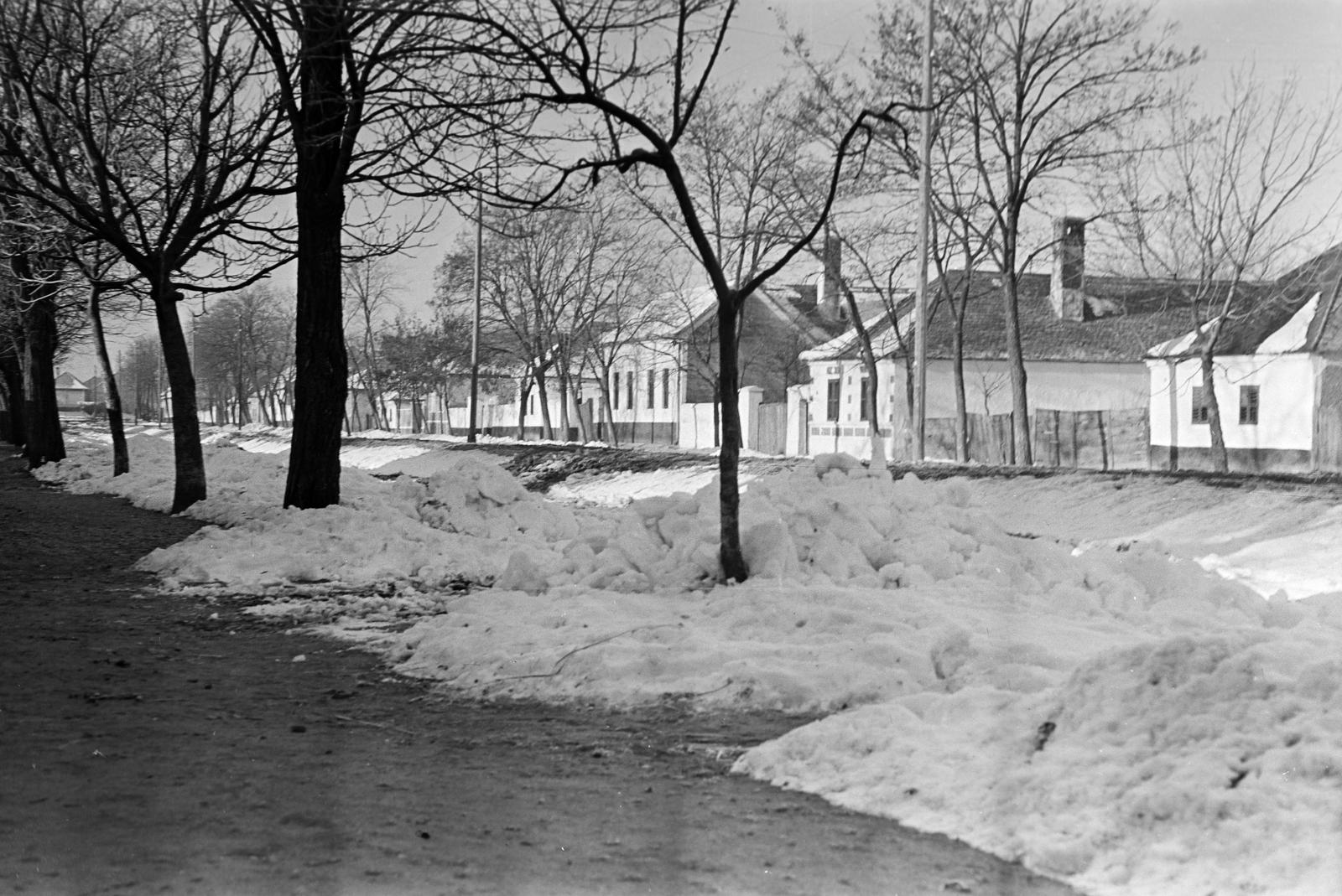 Magyarország, 1962, Gazda Anikó, Fortepan #307997