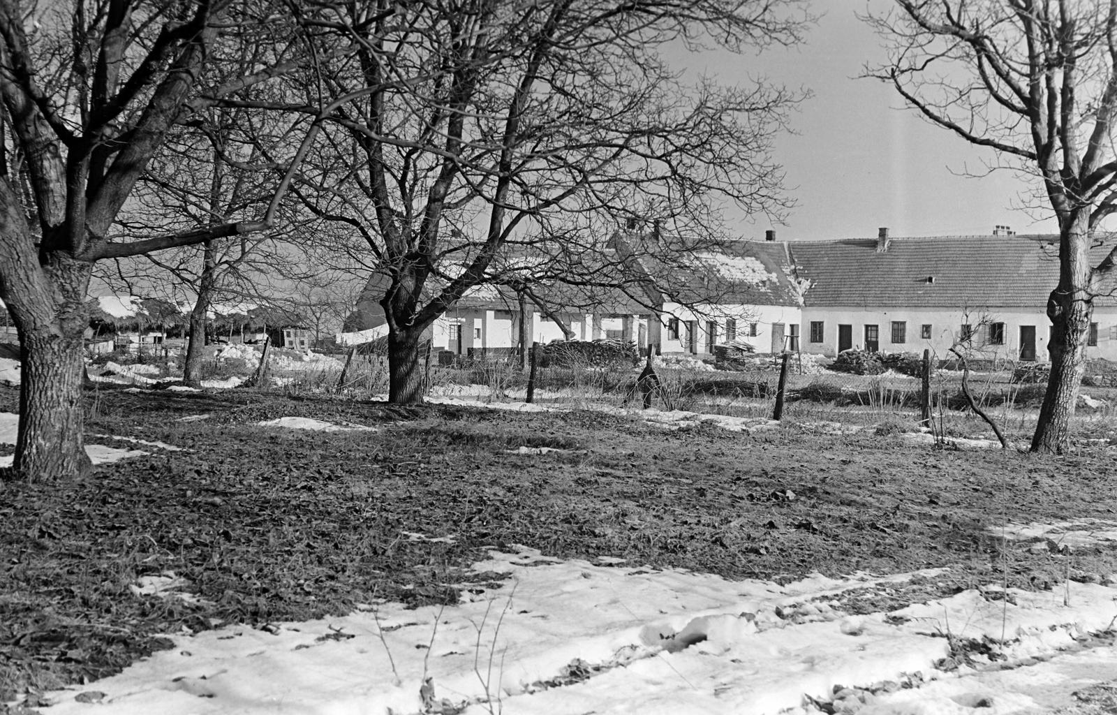 Hungary, 1962, Gazda Anikó, Fortepan #307998
