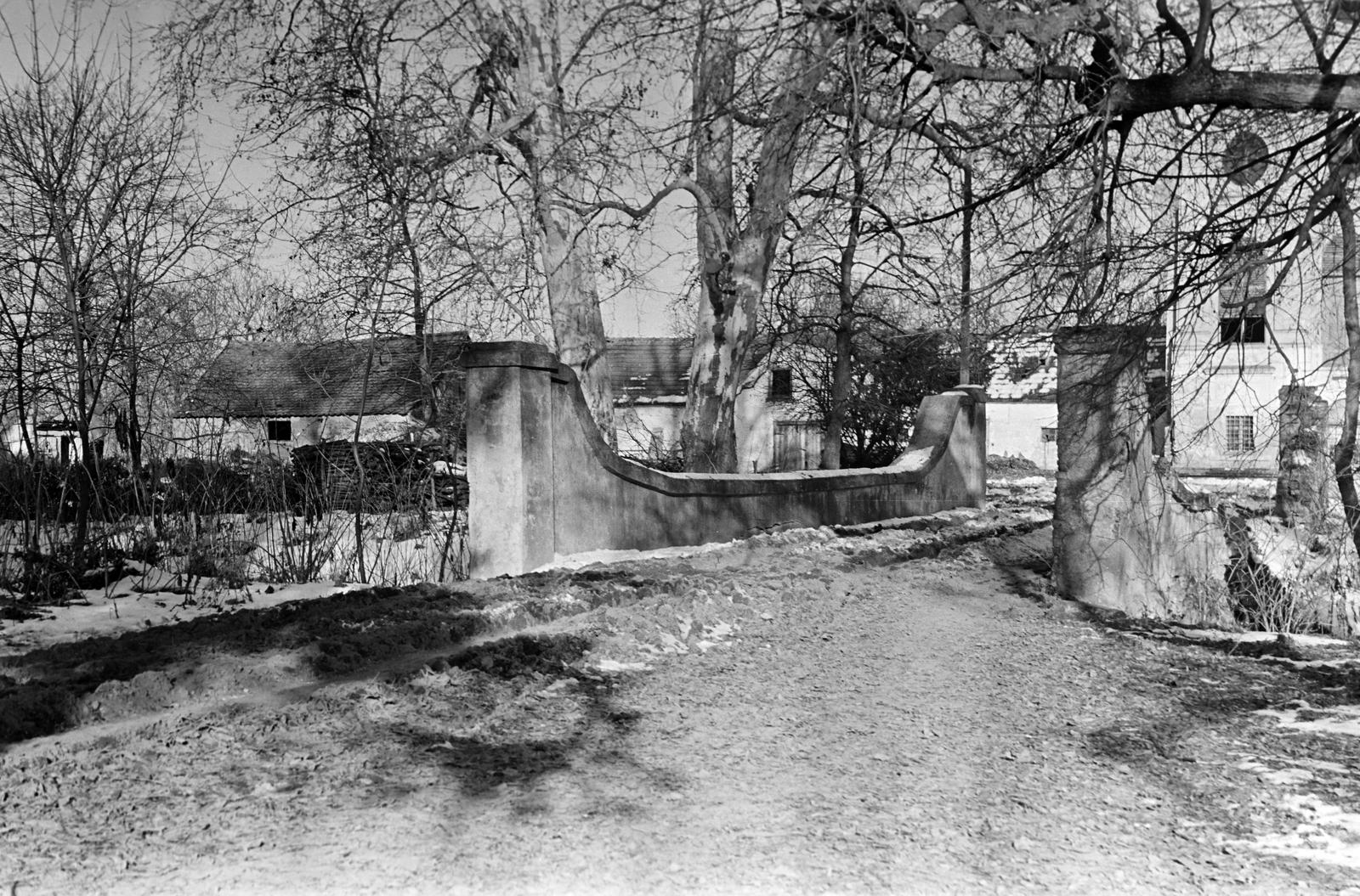 Magyarország, 1962, Gazda Anikó, Fortepan #308001