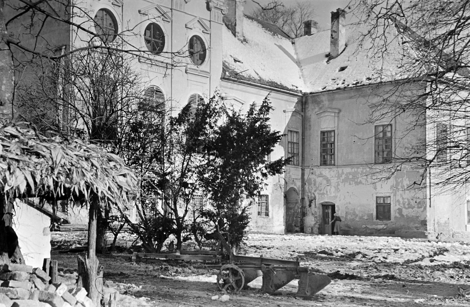 Magyarország, 1962, Gazda Anikó, Fortepan #308006