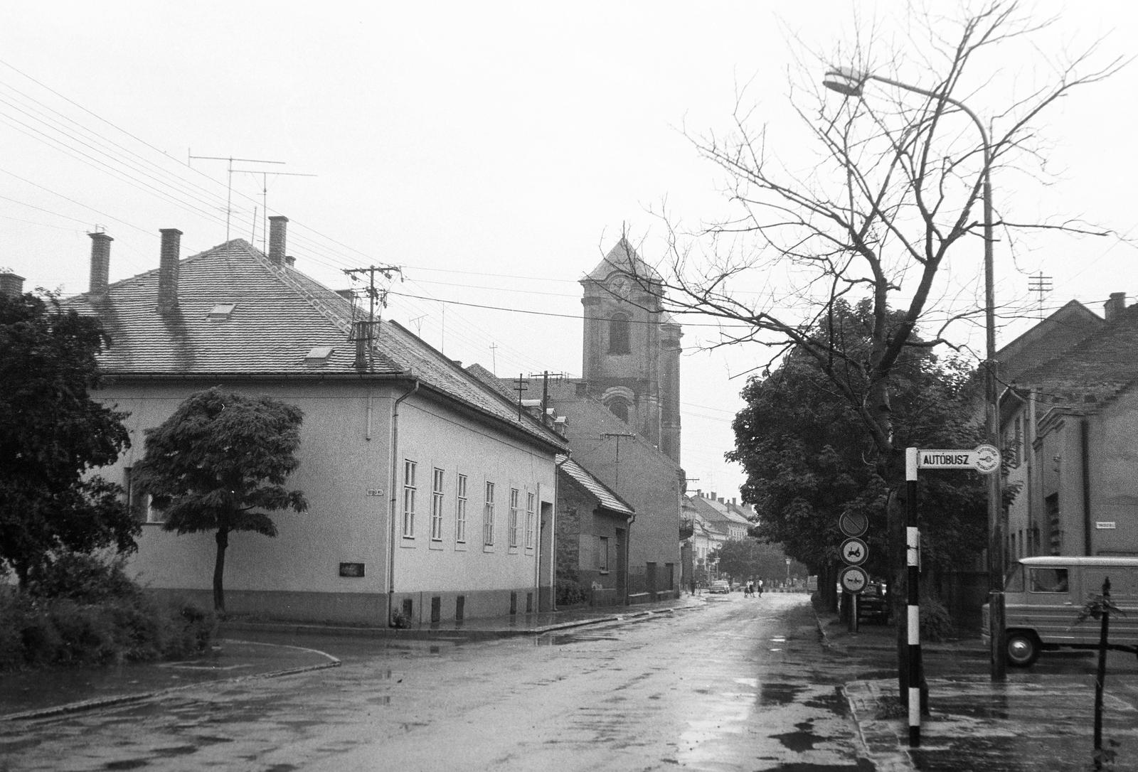 Hungary, 1975, Gazda Anikó, Fortepan #308017