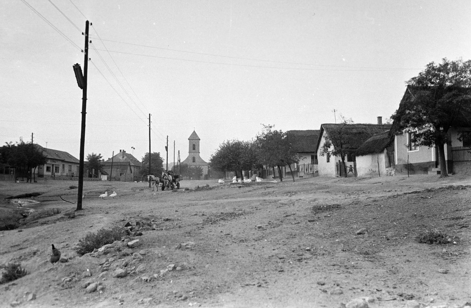Magyarország, 1960, Gazda Anikó, Fortepan #308027