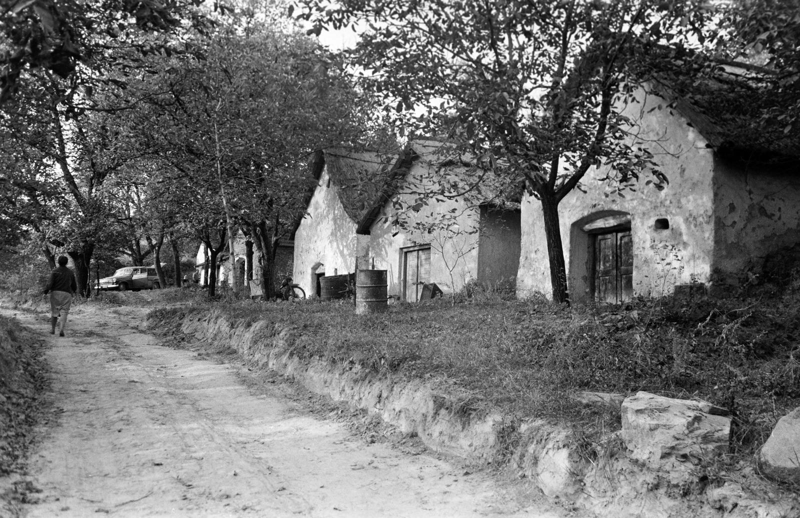 Magyarország, Sukoró, Borjúvölgy, présházak., 1960, Gazda Anikó, földút, hordó, pincesor, Fortepan #308028