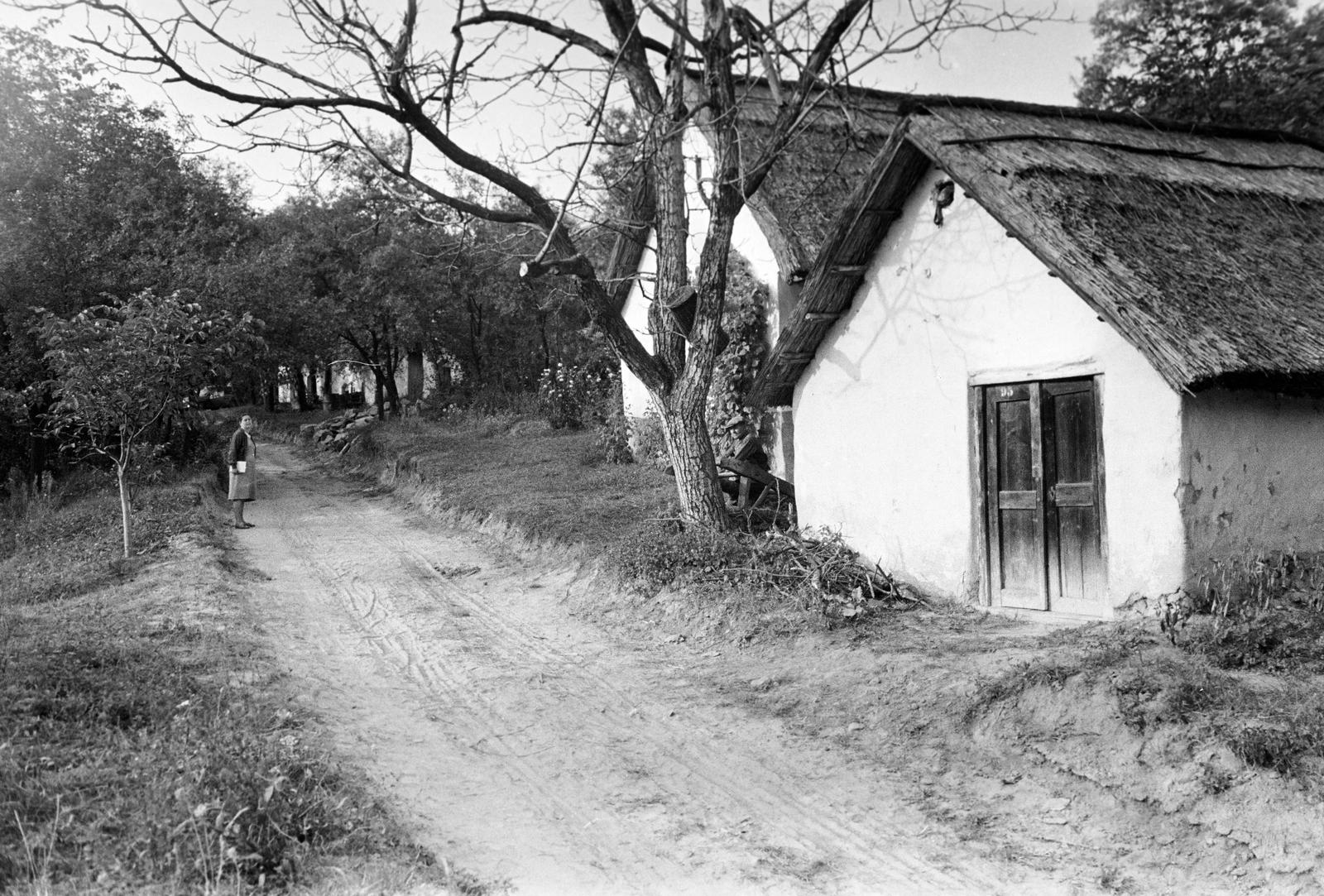 Hungary, Sukoró, Borjúvölgy, jobbra 95-ös számú présház., 1960, Gazda Anikó, dirt road, Fortepan #308029