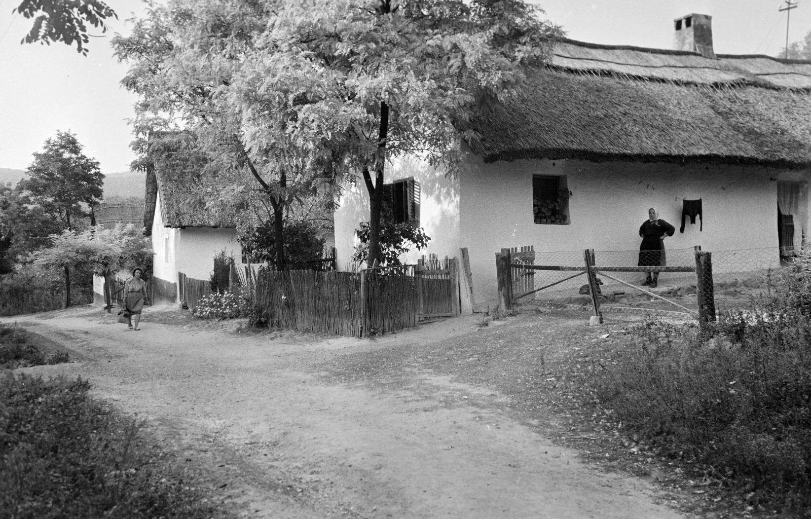 Magyarország, Sukoró, Szilvás sor., 1960, Gazda Anikó, akácfa, drótkerítés, zsúptető, Fortepan #308030