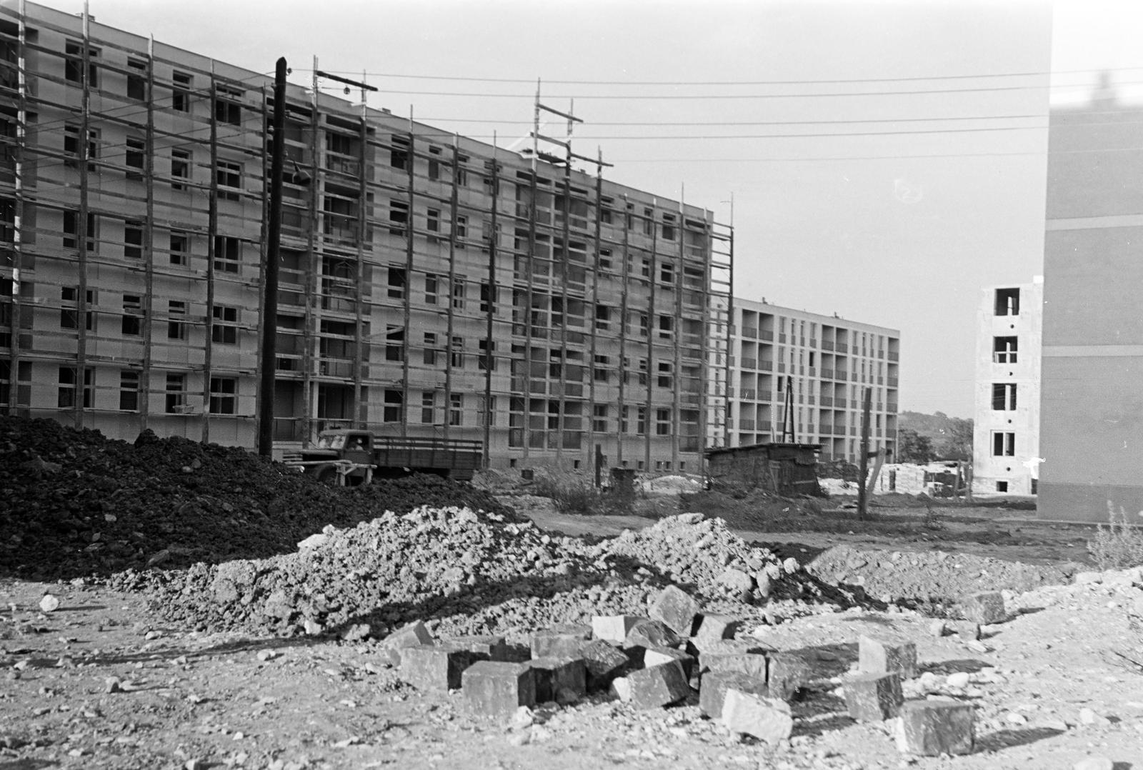 Magyarország, 1965, Gazda Anikó, Fortepan #308040