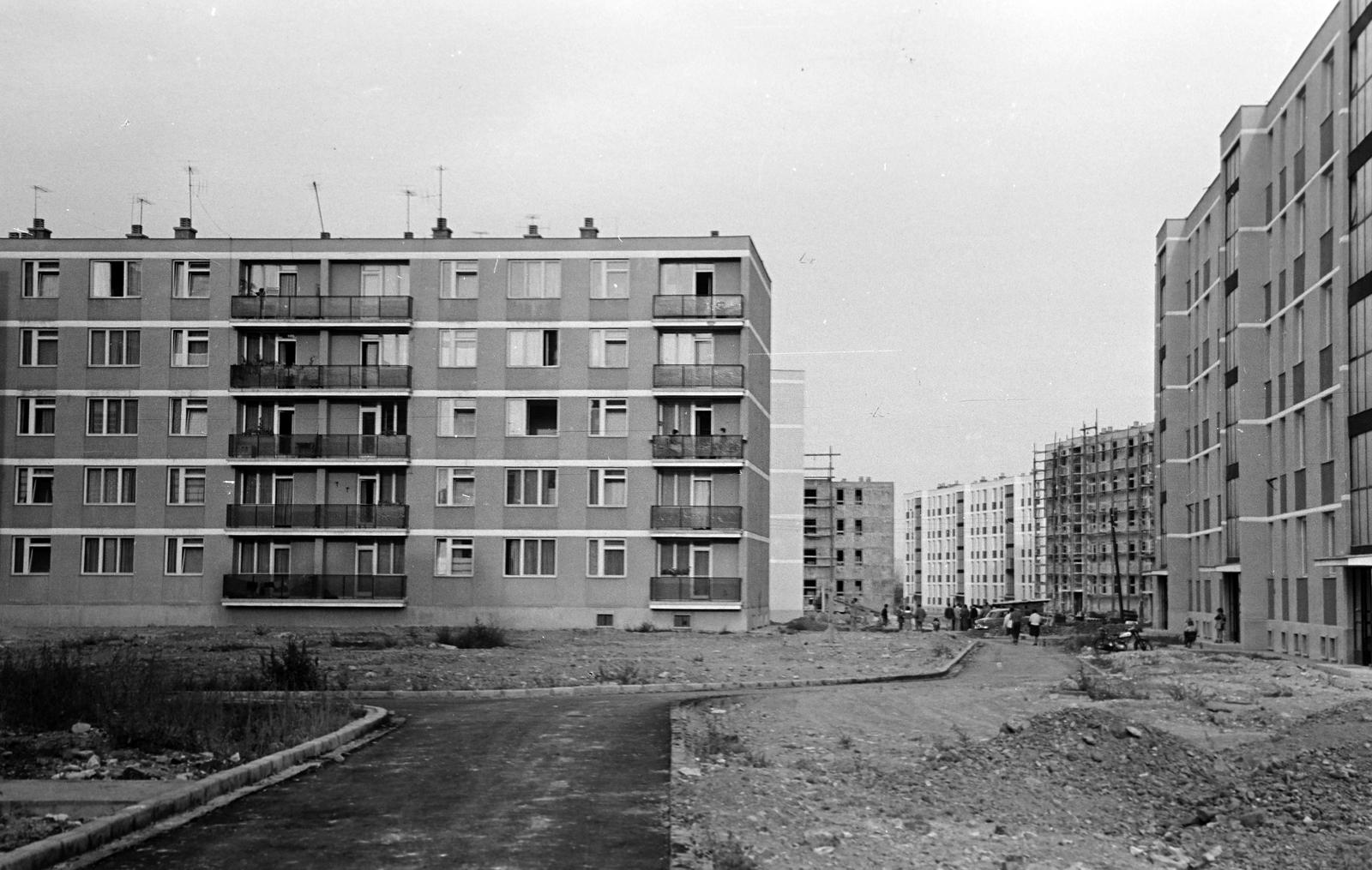 Hungary, 1965, Gazda Anikó, Fortepan #308041