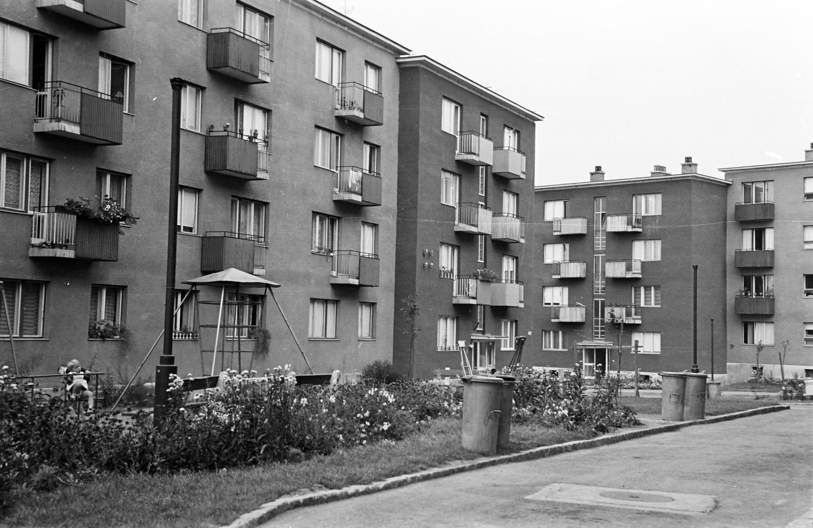 Hungary, 1965, Gazda Anikó, Fortepan #308044