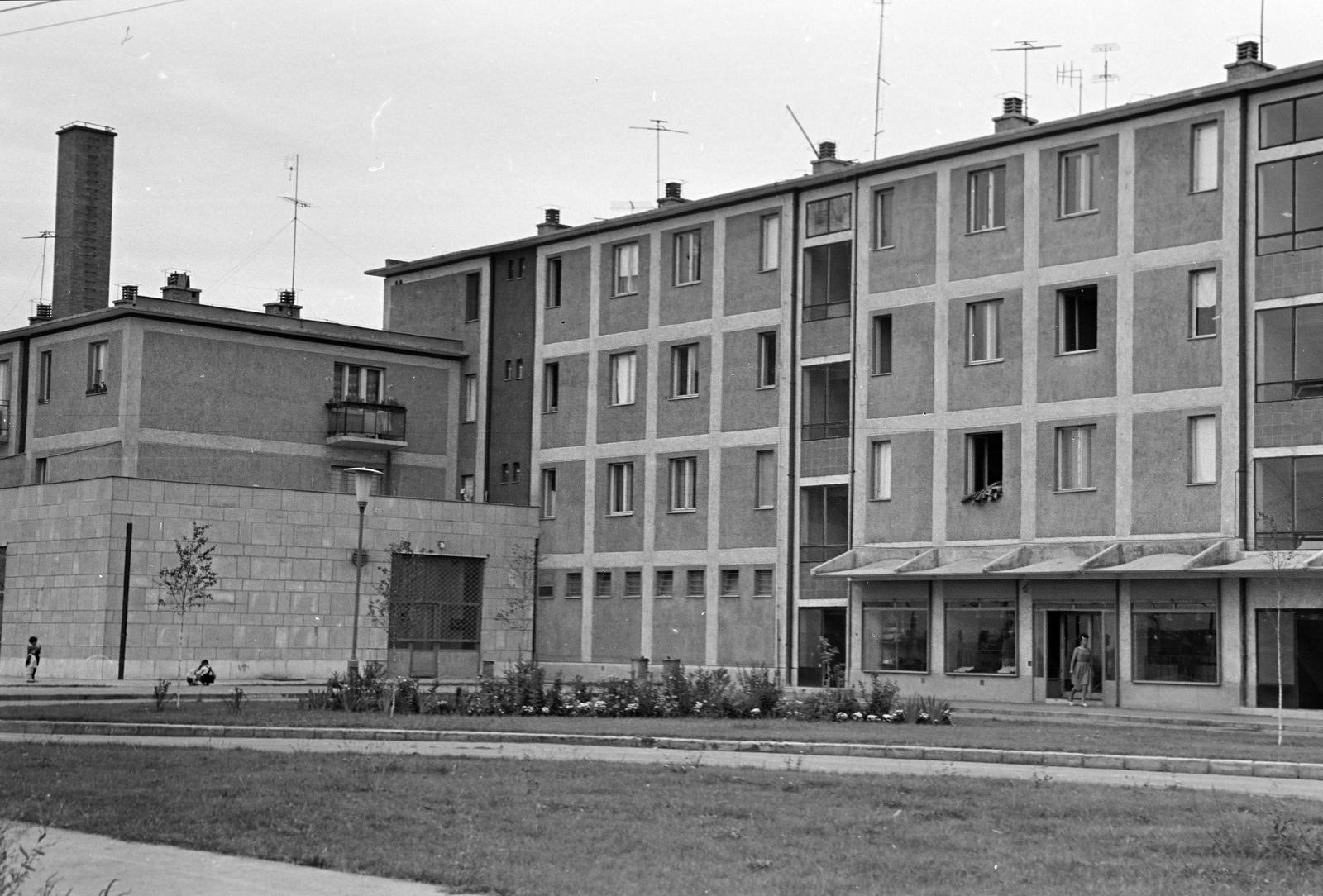 Hungary, Tiszaújváros, (Tiszaszederkény), Munkácsy Mihály út 14. számú épület., 1965, Gazda Anikó, Fortepan #308046