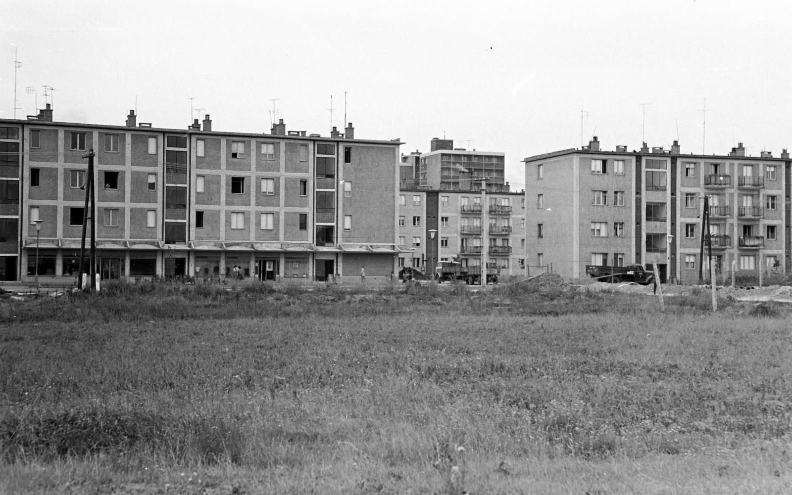 Hungary, Tiszaújváros, (Tiszaszederkény), Munkácsy Mihály út, balra a 14., 12. és 10. számú házak, jobbra a 8. és 6. számú épületek látszanak., 1965, Gazda Anikó, Fortepan #308055