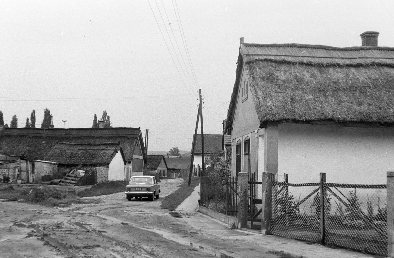 Hungary, 1971, Gazda Anikó, Fortepan #308056