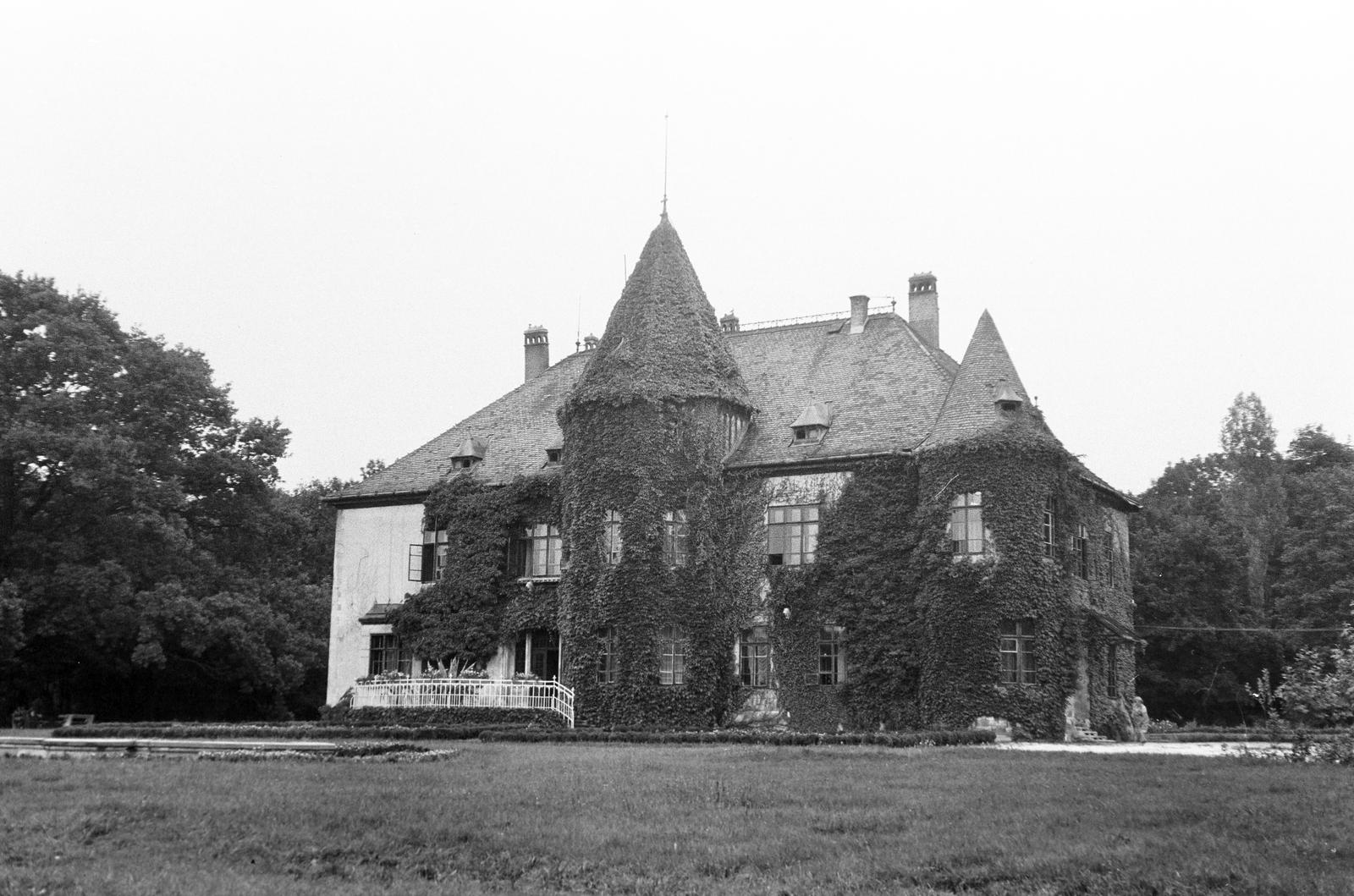 Hungary, Sárszentmihály, Zichy-kastély., 1971, Gazda Anikó, Fortepan #308059