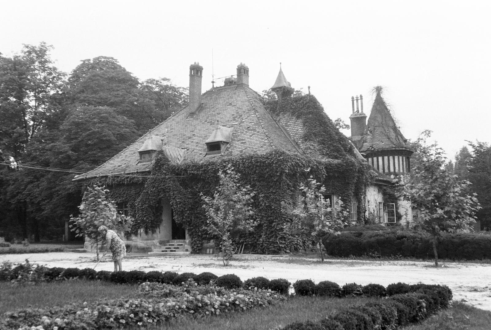 Hungary, Sárszentmihály, Zichy-kastély, Kiskastély., 1971, Gazda Anikó, Fortepan #308060