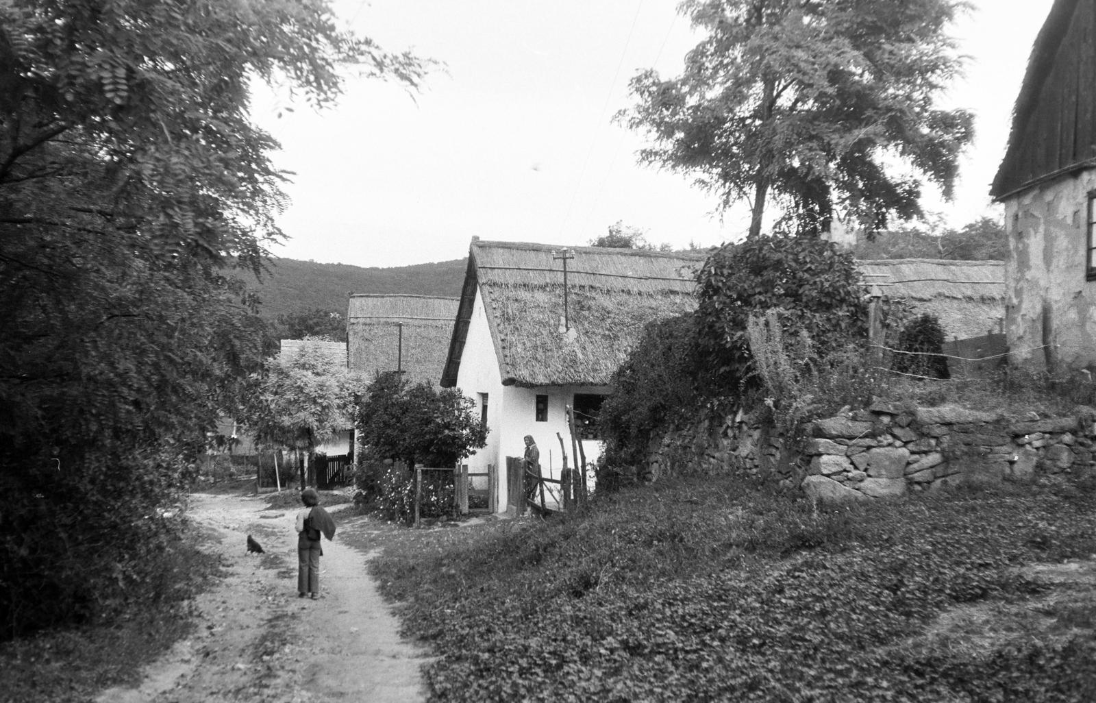 Hungary, 1968, Gazda Anikó, Fortepan #308070