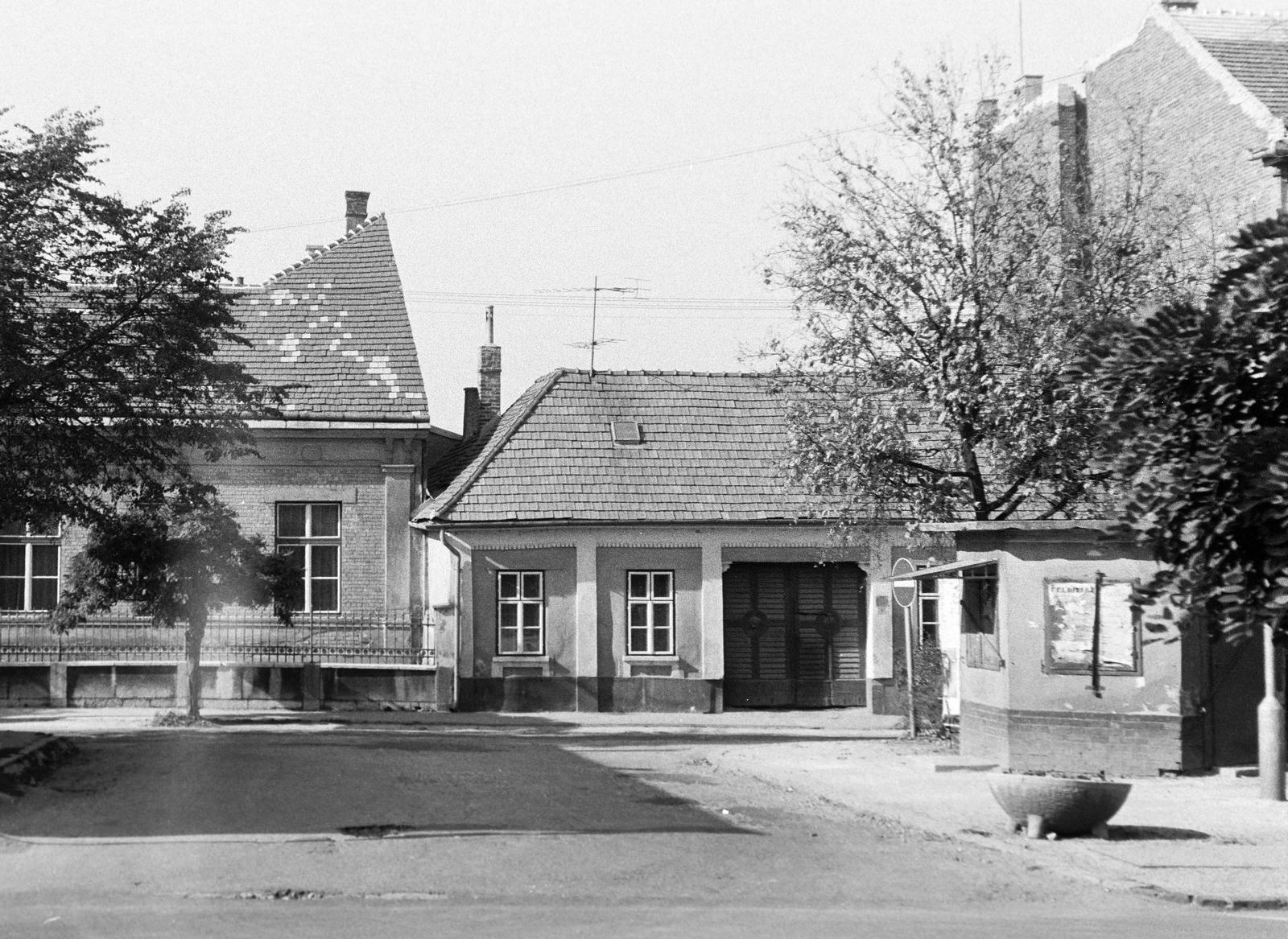 Magyarország, 1974, Gazda Anikó, Fortepan #308075