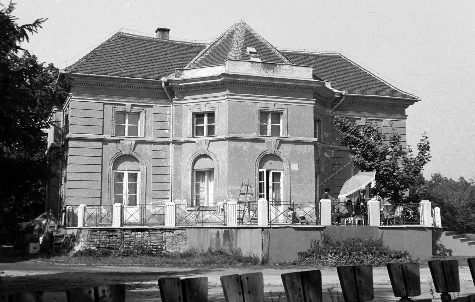 Hungary, 1974, Gazda Anikó, Fortepan #308079