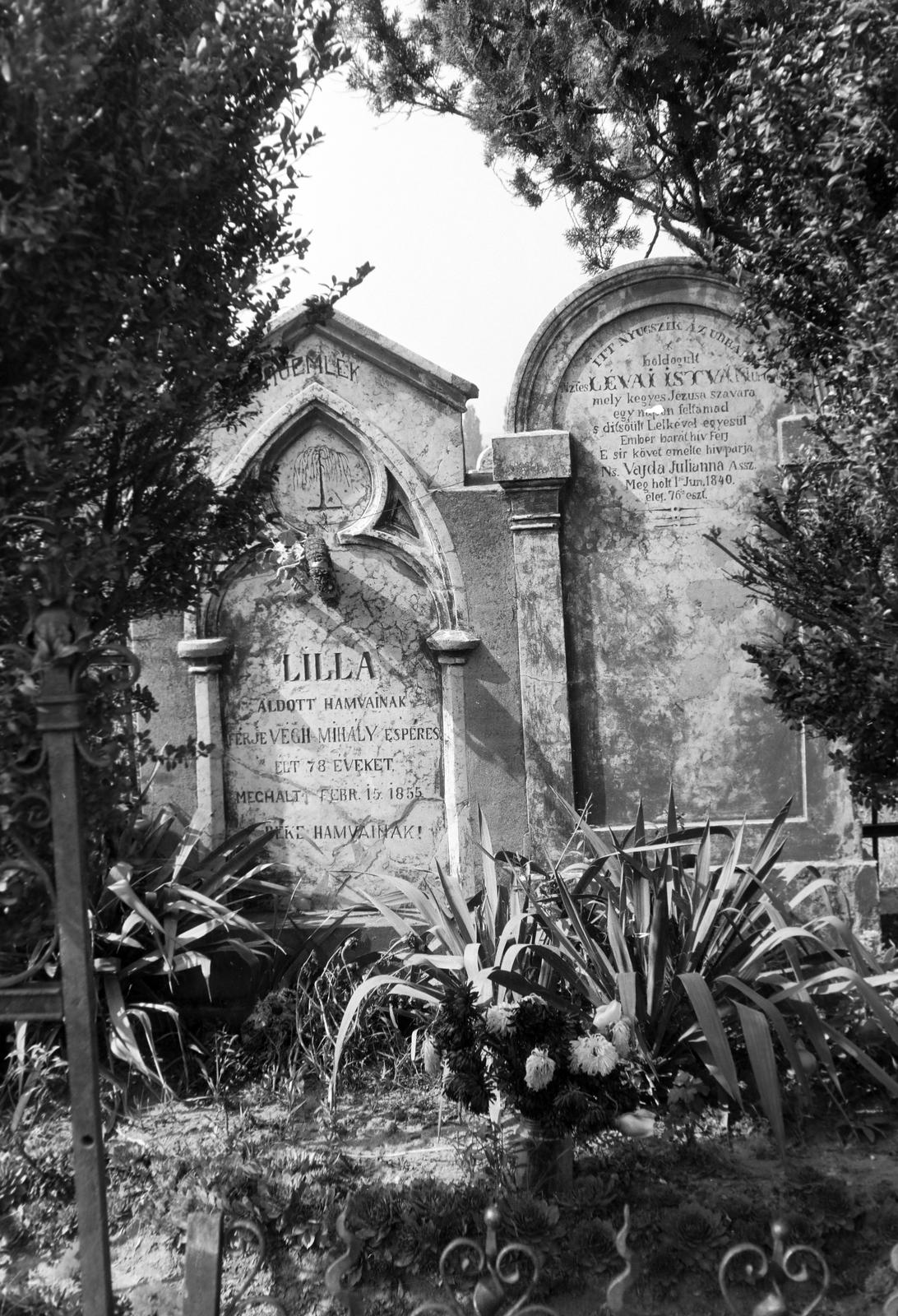 Magyarország, Dunaalmás, Vajda Julianna (Lilla) sírja a református temetőben., 1974, Gazda Anikó, Fortepan #308082