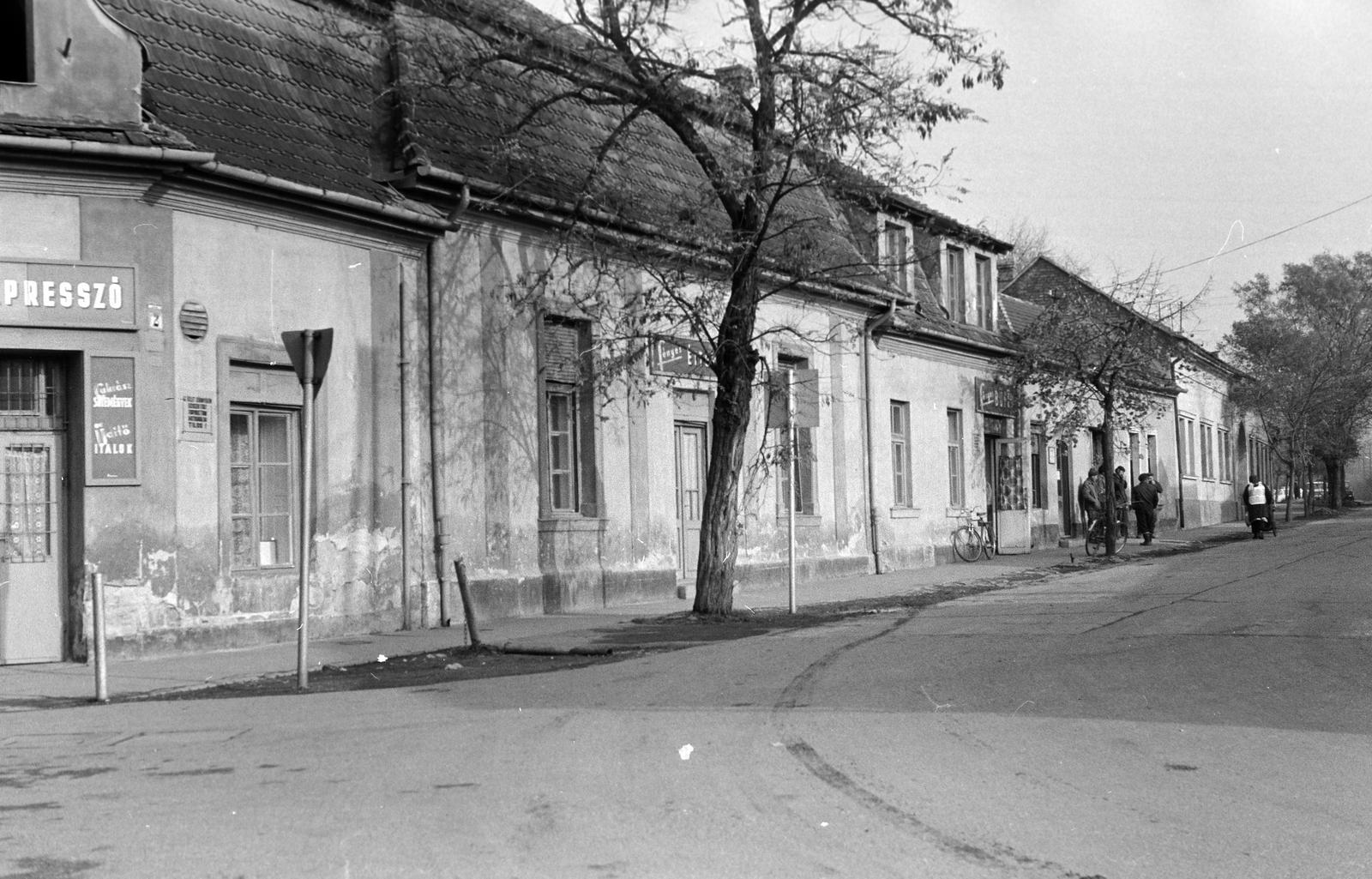 Magyarország, 1974, Gazda Anikó, Fortepan #308084