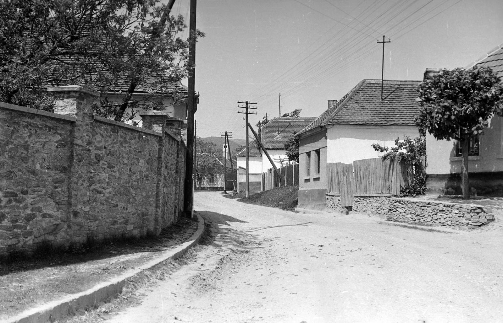 Hungary, 1961, Gazda Anikó, Fortepan #308088