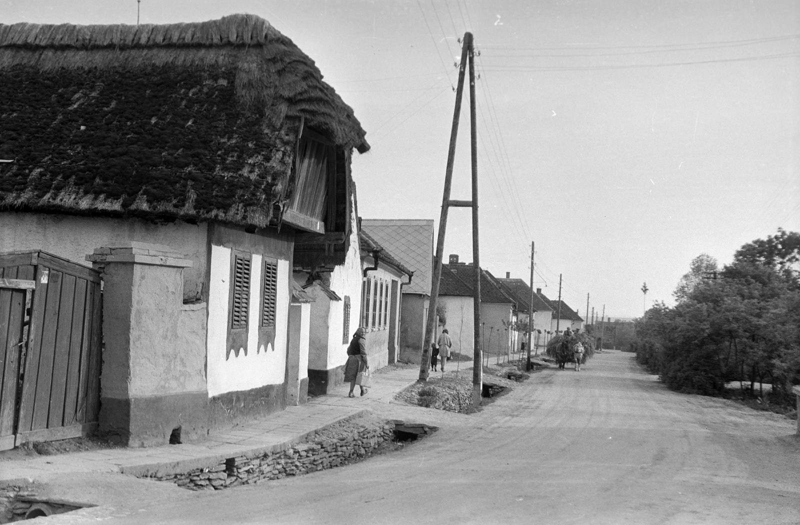 Hungary, 1961, Gazda Anikó, Fortepan #308091