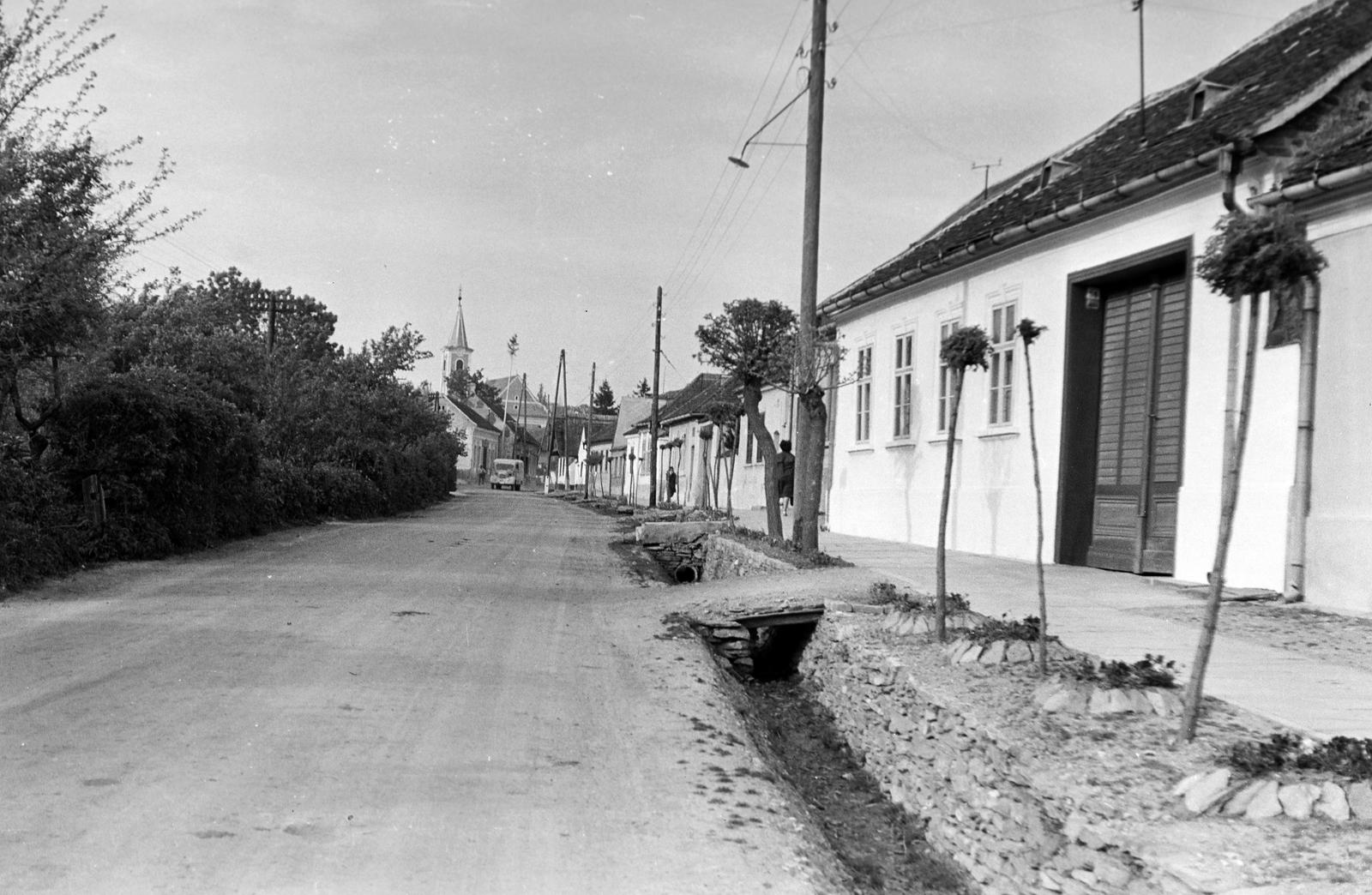 Hungary, 1961, Gazda Anikó, Fortepan #308092