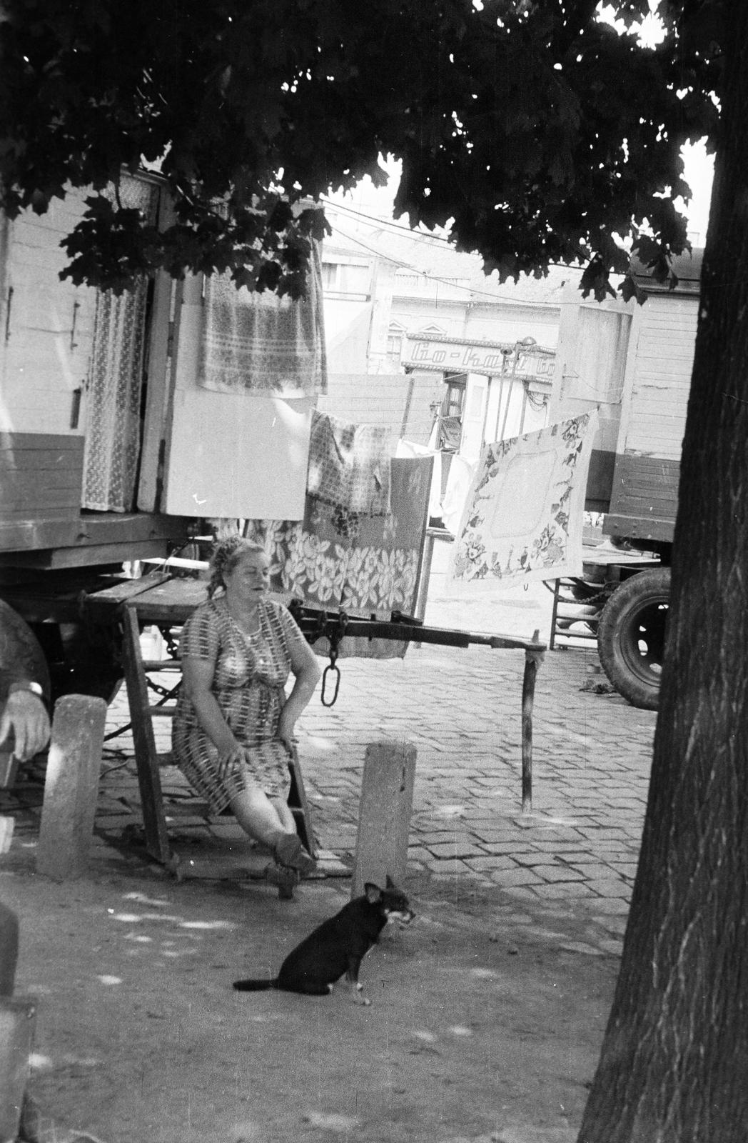 Magyarország, 1969, Gazda Anikó, Fortepan #308097