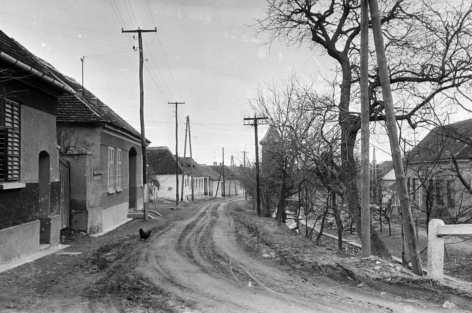 Magyarország, 1963, Gazda Anikó, földút, utcakép, villanyoszlop, Fortepan #308099
