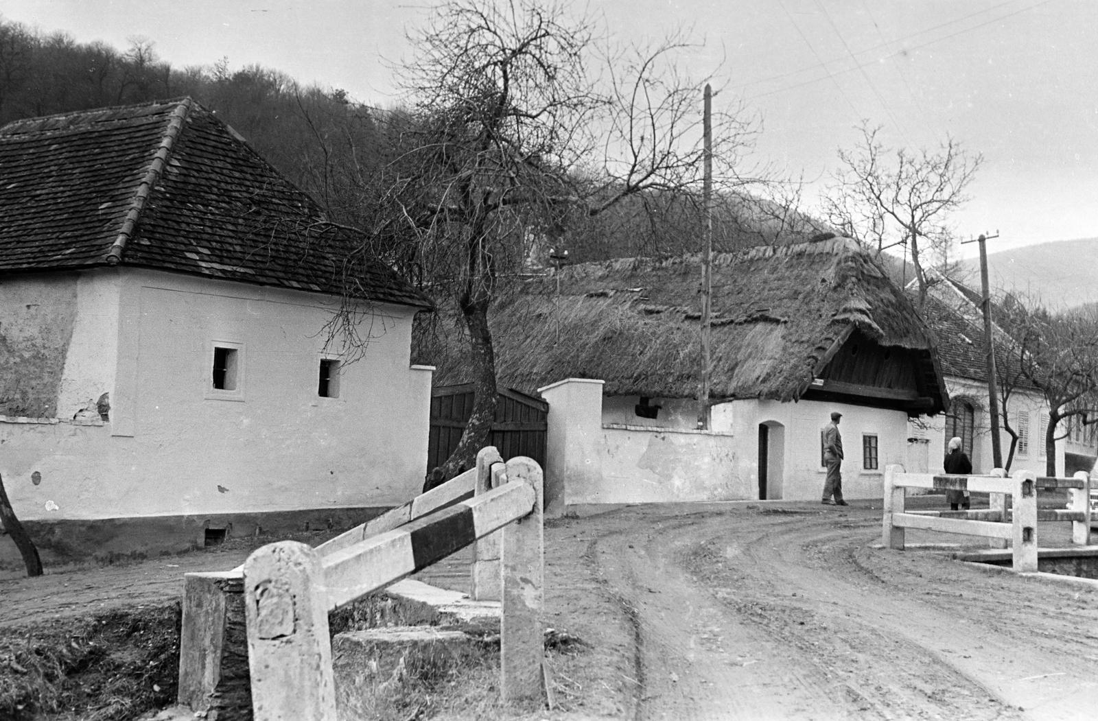 Magyarország, 1963, Gazda Anikó, Fortepan #308100