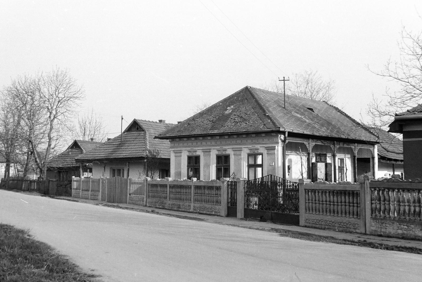 Hungary, 1967, Gazda Anikó, Fortepan #308110
