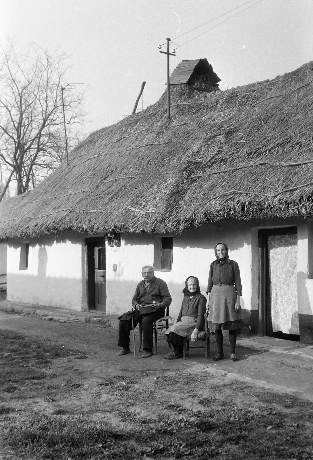 Magyarország, 1967, Gazda Anikó, Fortepan #308111