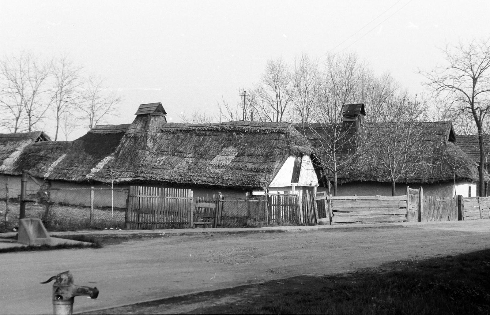 Hungary, 1967, Gazda Anikó, Fortepan #308112