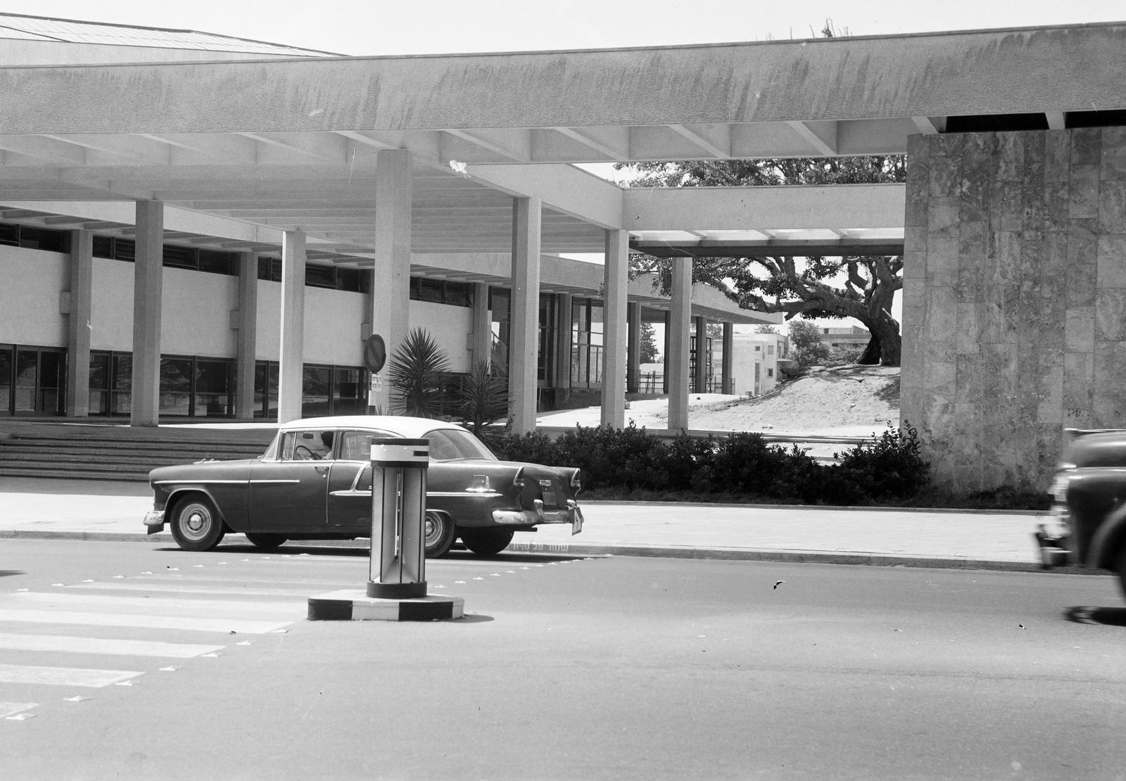 Izrael, 1962, Gazda Anikó, Fortepan #308124