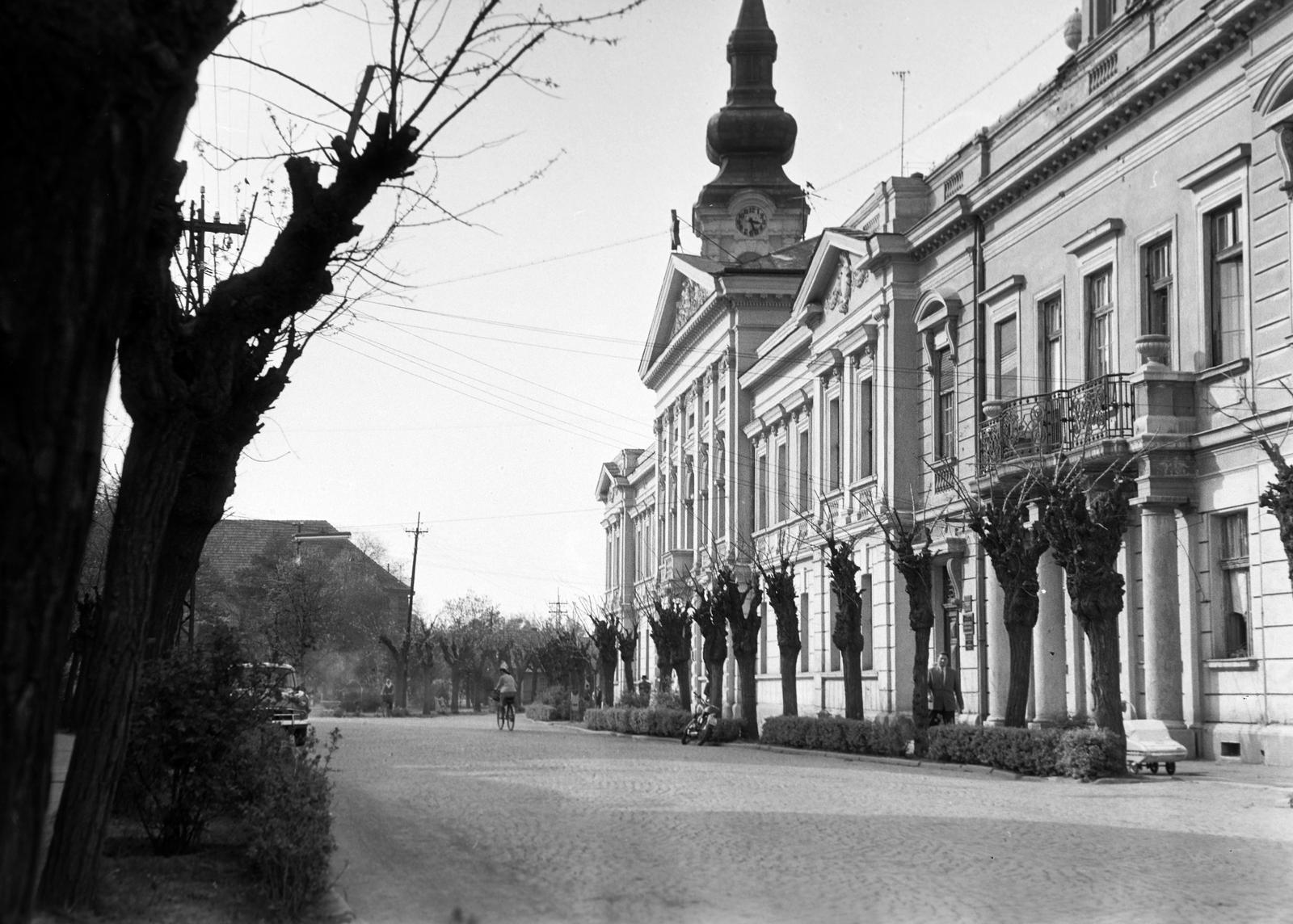 Magyarország, 1961, Gazda Anikó, Fortepan #308126