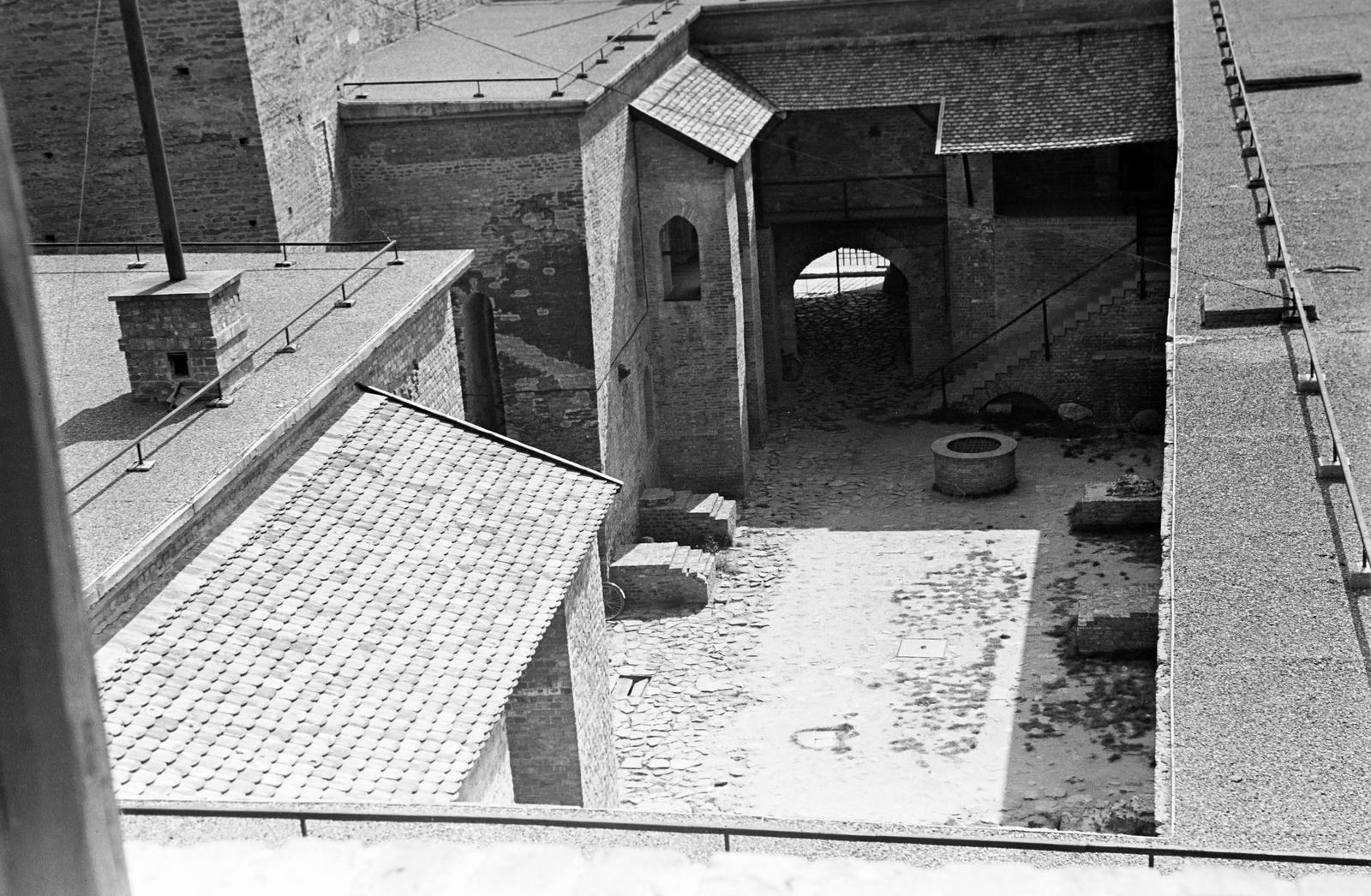 Magyarország, 1961, Gazda Anikó, Fortepan #308127