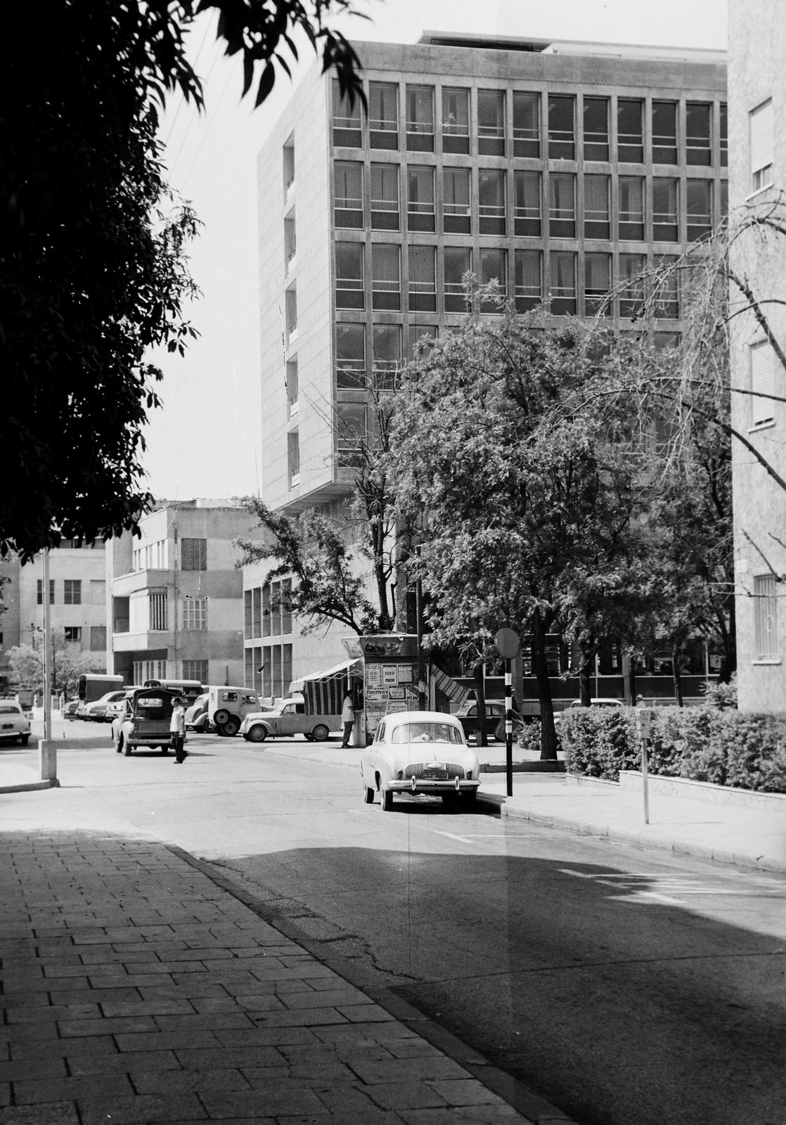 Izrael, 1962, Gazda Anikó, Fortepan #308128