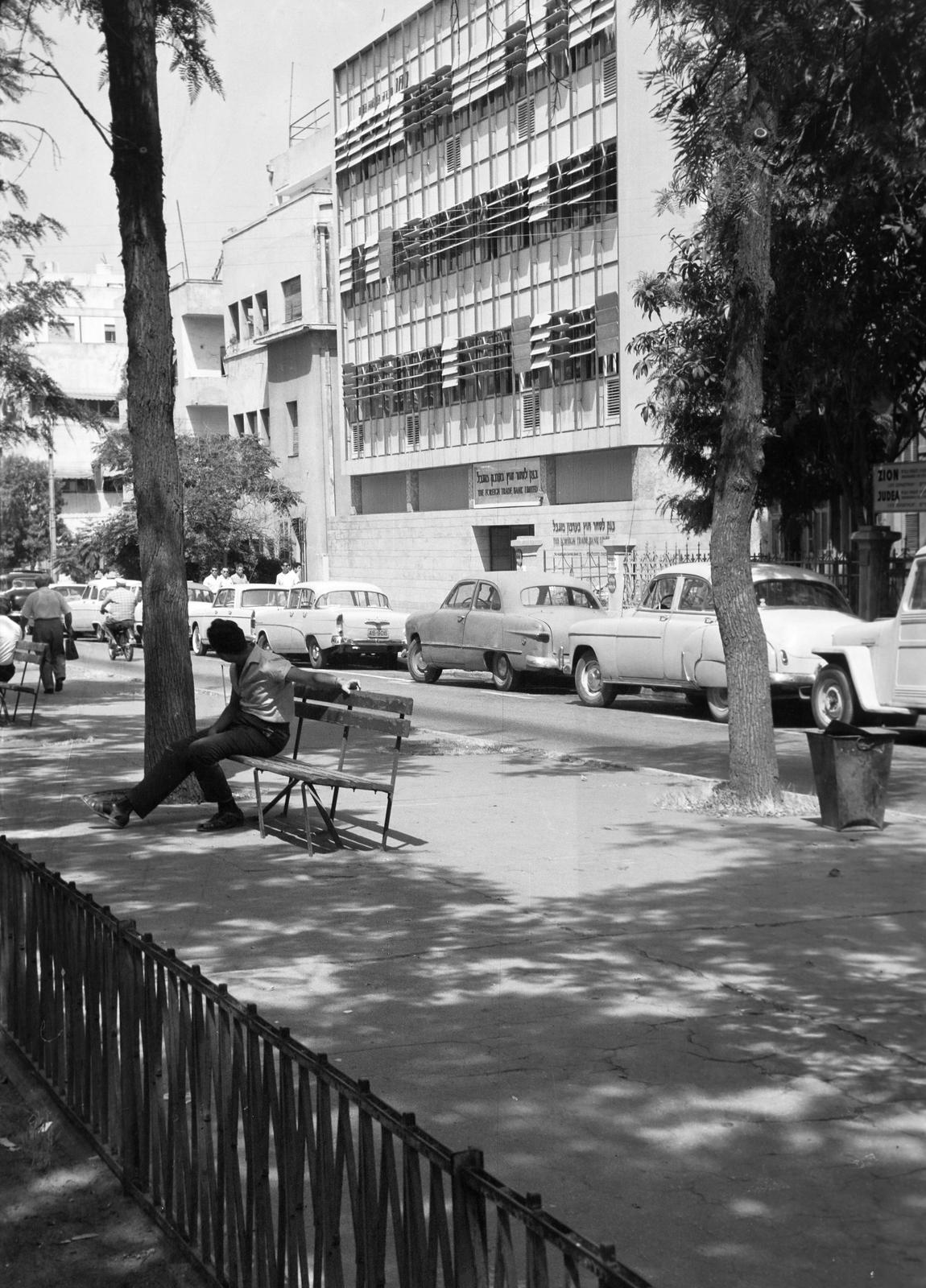 Izrael, 1962, Gazda Anikó, Fortepan #308129