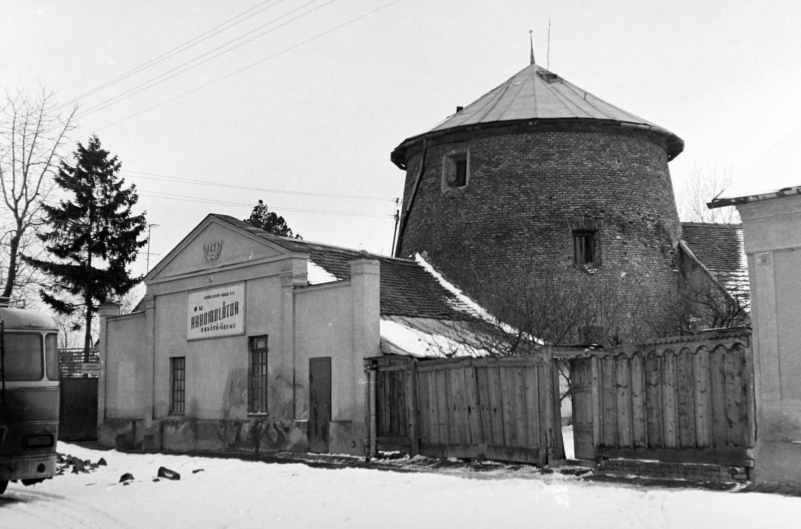 Magyarország, 1966, Gazda Anikó, szélmalom, Fortepan #308134
