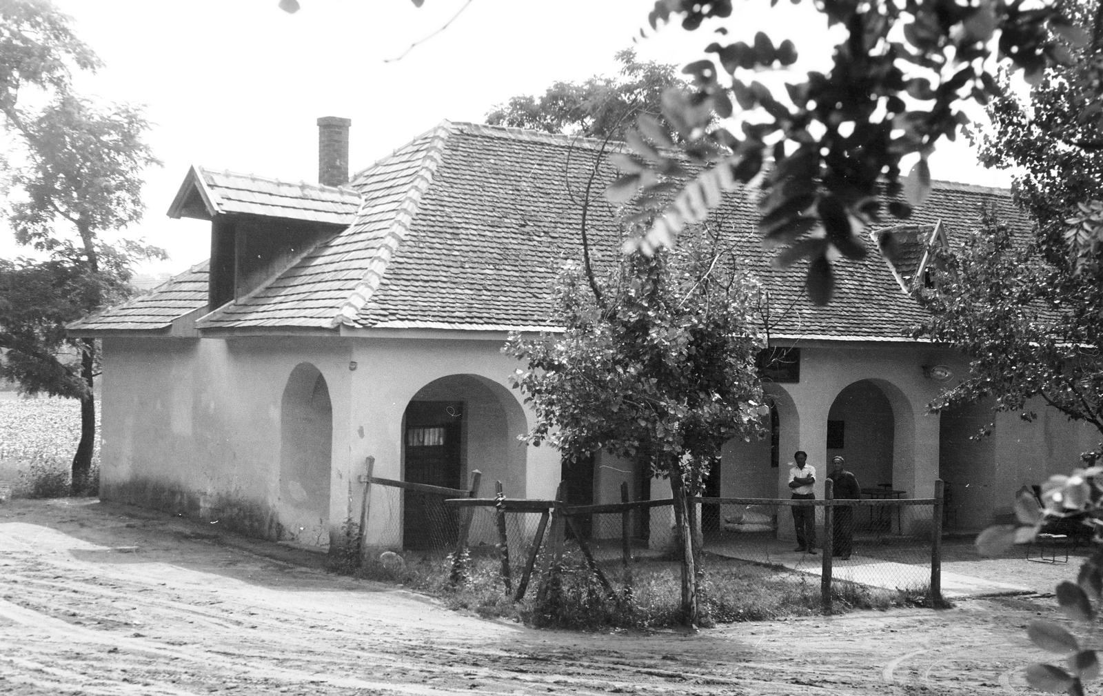 Magyarország, 1966, Gazda Anikó, Fortepan #308135