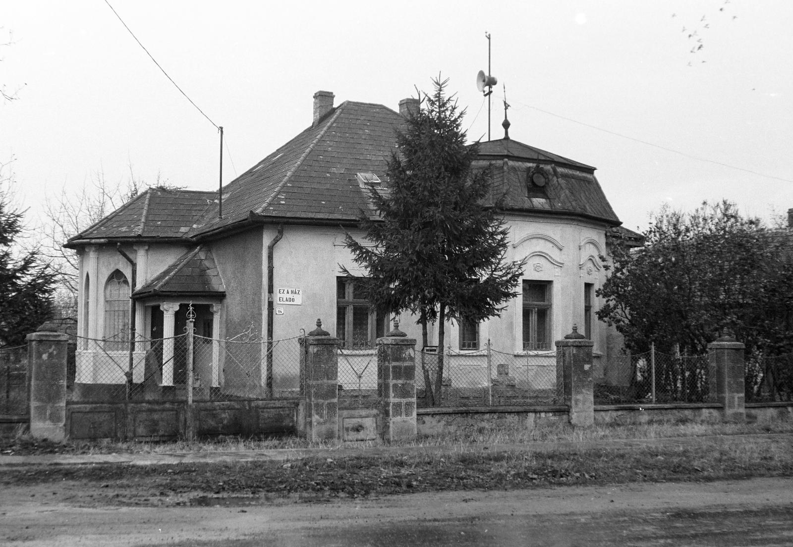 Magyarország, 1974, Gazda Anikó, Fortepan #308142